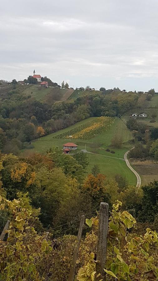 Kuca Za Odmor Nina Villa Sveti Martin Na Muri Eksteriør bilde